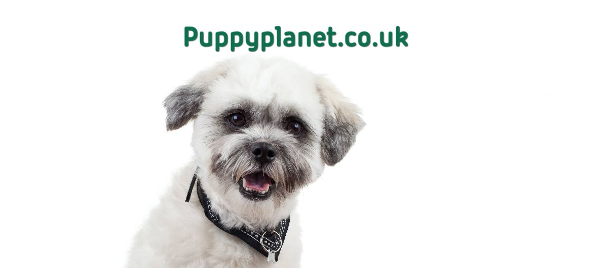 puppyplanet.co.uk